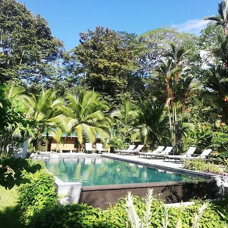 Passion Fruit Lodge Cahuita Eksteriør billede