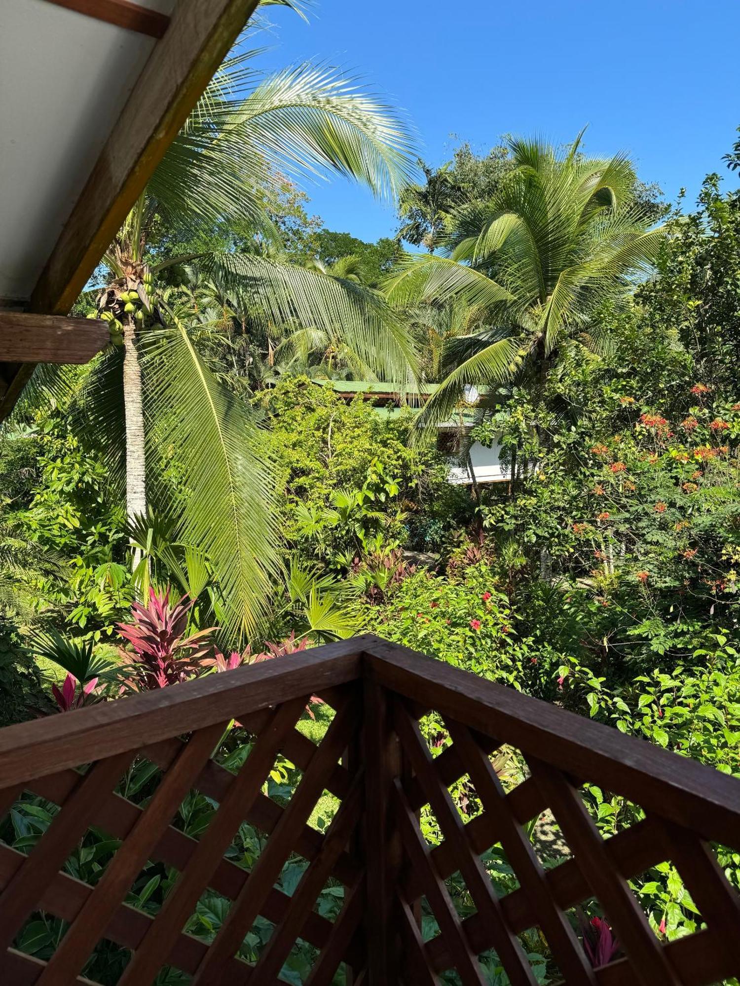 Passion Fruit Lodge Cahuita Eksteriør billede