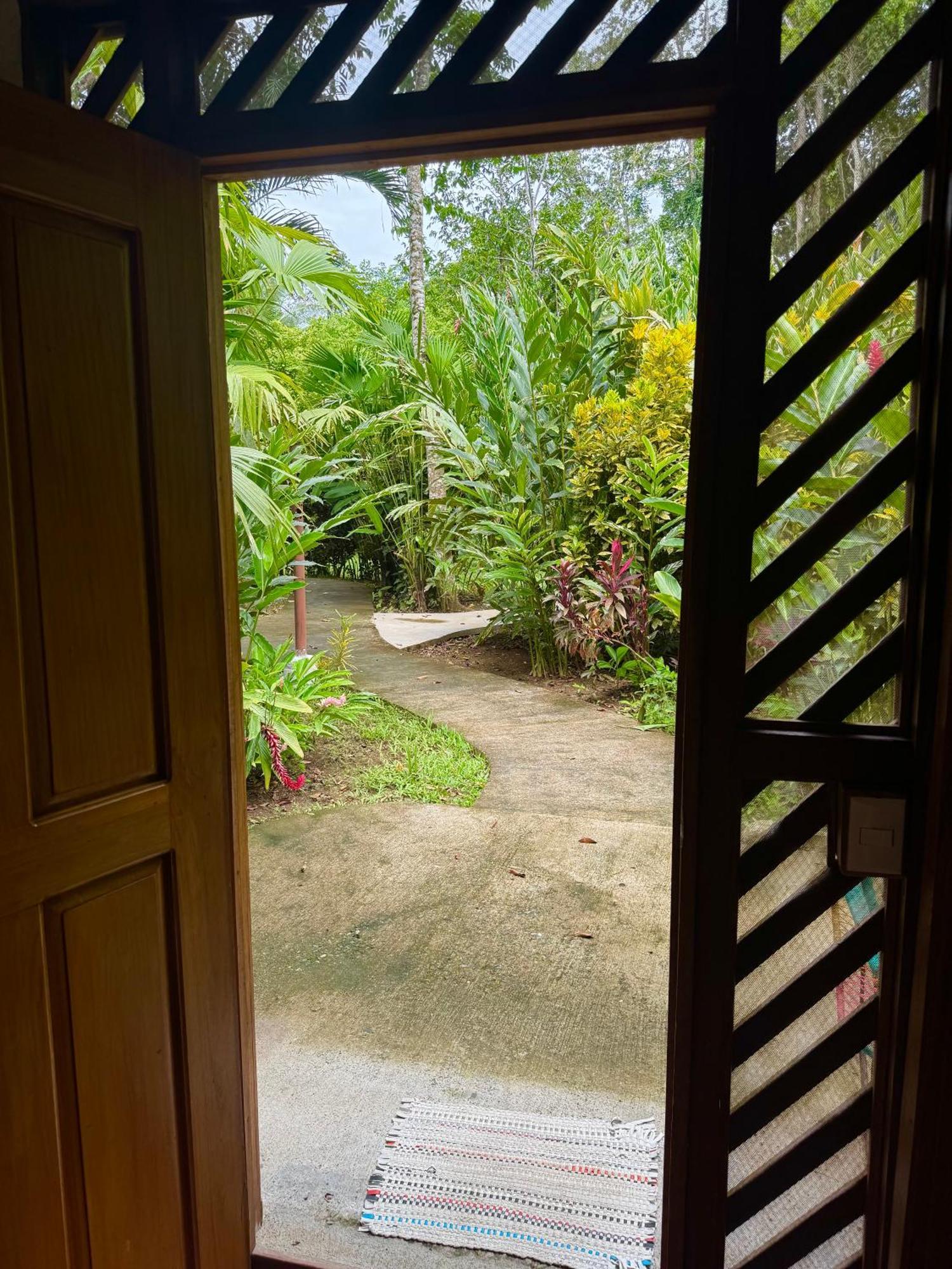 Passion Fruit Lodge Cahuita Eksteriør billede