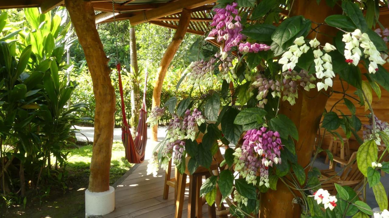 Passion Fruit Lodge Cahuita Eksteriør billede